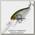 Воблер Lucky Craft Pointer 65 XD 253 citrus shad
