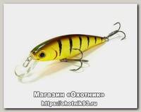 Воблер Lucky Craft Pointer 78 806 tiger perch