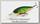 Воблер Lucky Craft Pointer 78 XD 245 mat tiger