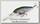 Воблер Lucky Craft Pointer 78 XD 254 MS MJ herring