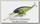 Воблер Lucky Craft Pointer 78 XD 371 bone pro blue