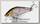 Воблер Lucky Craft Pointer LL 125S Smasher 270 MS american shad