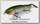 Воблер Lucky Craft Real bait F 0392 aluminium keta bass II 318*