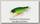 Воблер Lucky Craft Real bait F 0808 weight plus mat tiger 458