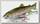 Воблер Lucky Craft Real bait premium trout 110F 5105 original rainbow