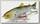Воблер Lucky Craft Real california 110 SPM 238 ghost minnow