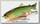Воблер Lucky Craft Real california 110 SPM 814 brook trout