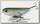 Воблер Lucky Craft Sammy 085 254 MS MJ herring