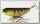 Воблер Lucky Craft Sammy 085 884 aurora gold nothern perch
