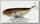 Воблер Lucky Craft Sammy 100 809 brownie