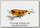 Воблер Lucky Craft Sammy Bug 75 0958 old yellow parrot