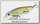 Воблер Lucky Craft Slender pointer 82 MR 250 chartreuse shad