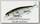 Воблер Lucky Craft Slender pointer 97 MR 077 or tennessee shad