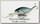 Воблер Lucky Craft Slim shad D9 052 aurora black