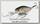 Воблер Lucky Craft Slim shad D9 270 MS american shad