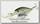 Воблер Lucky Craft Slim shad D9 808 shiner