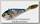 Воблер Lucky Craft Spinboard 35 270 MS american shad