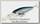 Воблер Lucky Craft Staysee 80 SP 052 aurora black