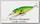 Воблер Lucky Craft Staysee 90 SP V2 111 peacock