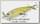 Воблер Lucky Craft Tail splash 90 250 chartreuse shad