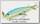 Воблер Lucky Craft Tail splash 90 253 citrus shad