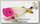Воблер Lucky Craft tone splash shadei 5882 pink crown bone 551