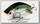 Воблер Lucky Craft Twisted rosie 80 360 bullet shad