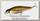 Воблер Major Craft Zoner minnow ZM110 цв.05