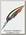 Воблер Megabass Bait-X concept M RB shad