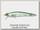 Воблер Megabass FX9 Stro BE NC crystal shad
