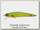 Воблер Megabass FX9 Stro BE NC lime chart OB