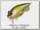 Воблер Megabass Griffon zero PM ayu