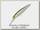 Воблер Megabass Live-X revenge wagin ayu