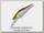 Воблер Megabass Live-X smolt M wakasagi