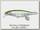 Воблер Megabass Vision 100 miyabi PM oikawa F