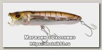 Воблер Megabass XPOD HT hakone wakasagi