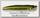 Воблер Megabass XPOD PM bass