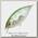 Воблер Megabass Z-Crank X Jr Ti AML Crystal Shad