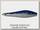 Воблер Molix Proteus 90 цв SW01 blue sarda