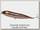 Воблер Owner Cultiva zipn ziggy 11 brown trout