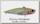 Воблер Owner Mira vibe MV-83 5288-75