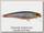 Воблер Owner Ripn minnow RM-65 5260-02
