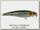 Воблер Owner Ripn minnow RM-65 5260-13
