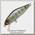 Воблер Pontoon 21 Crack jack 58мм 5г. 0,8-1м. цв.351