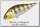 Воблер Pontoon21 Bet-A-Shad 75SP-SR 75 мм13,2 гр 0,2-0,4м R30