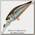 Воблер Pontoon21 Cheer ful 40F-MR-154