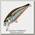 Воблер Pontoon21 Cheer ful 40мм 2,6г.погр.0,3-0,5м. SR-154