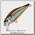 Воблер Pontoon21 Cheer ful 40SP-SR 40мм 2,6гр 0,3-0,5м №154