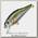 Воблер Pontoon21 Crack jack 38F-DR-R30
