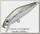 Воблер Pontoon21 Crack jack 38SP-MR-R51